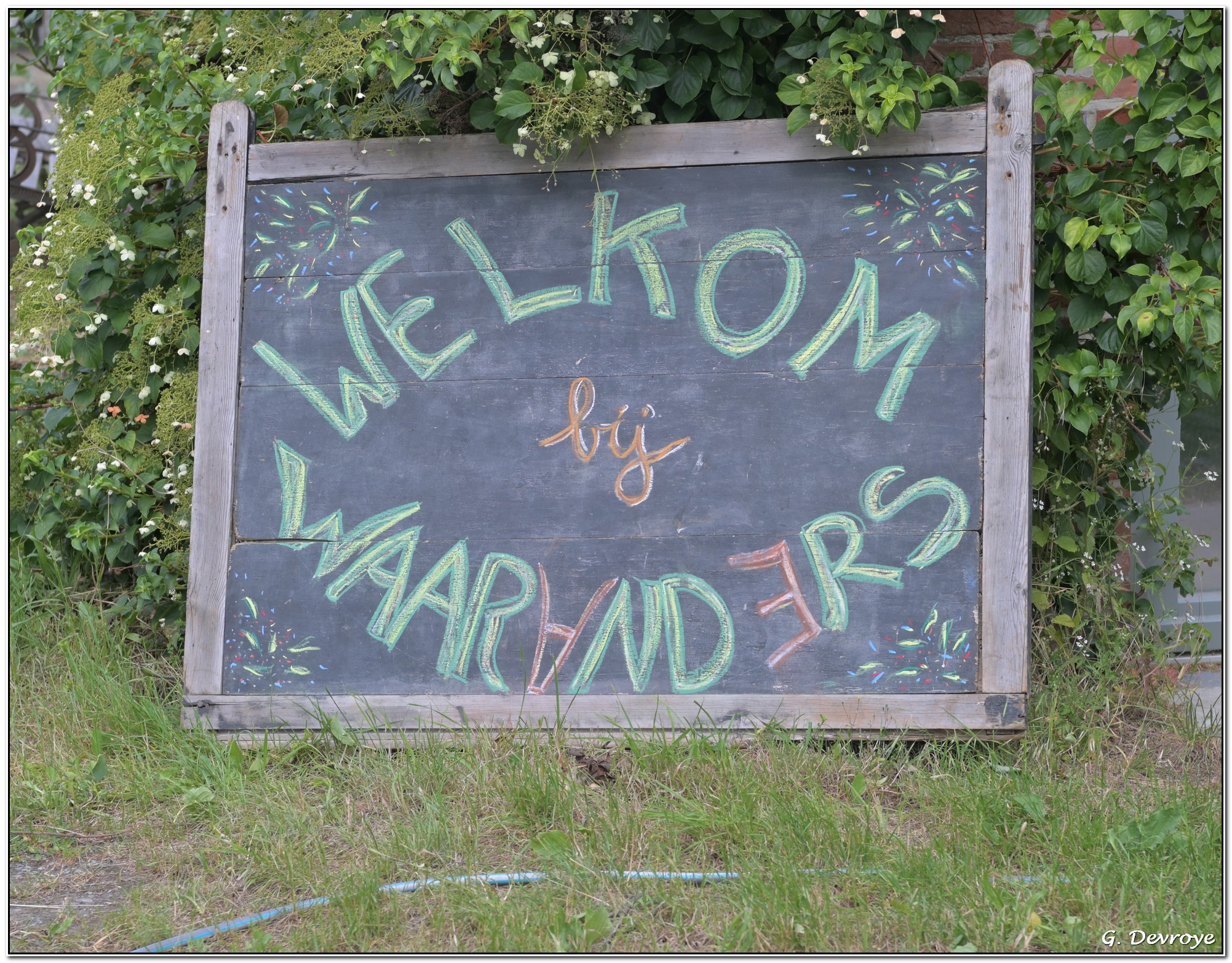 Waaranders? Waaranders!